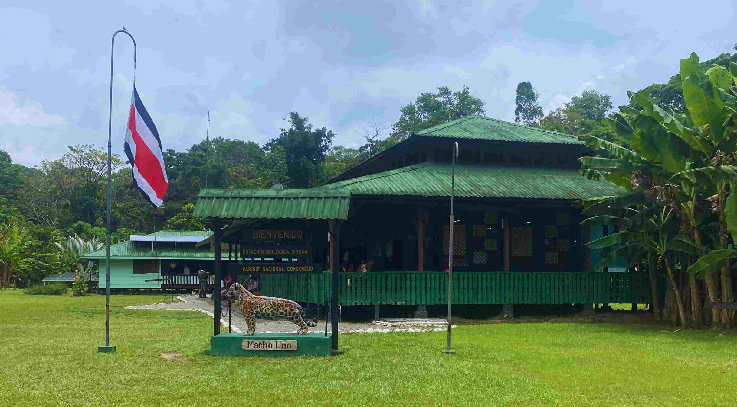 Noche en el Parque Nacional Corcovado