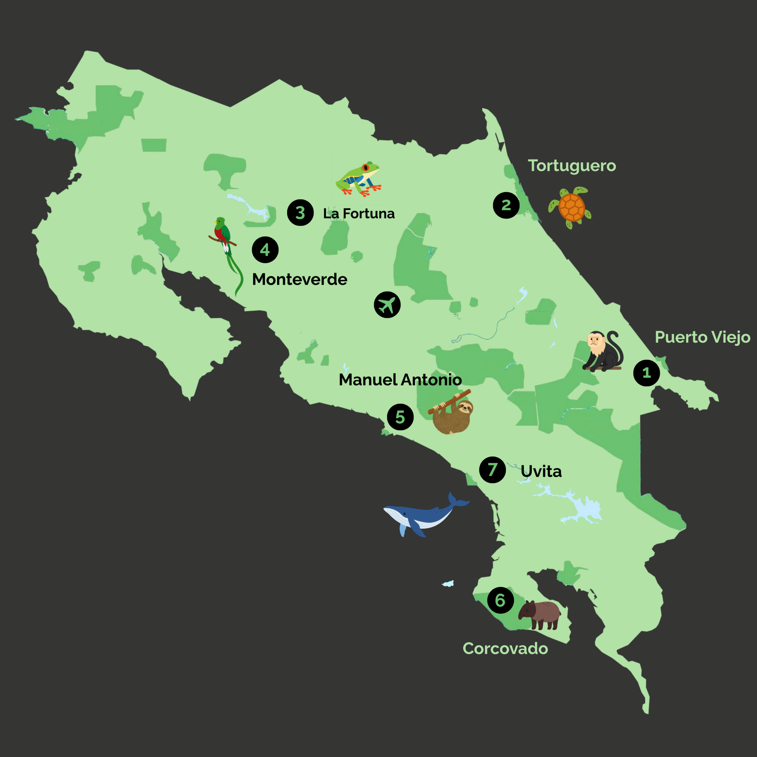 mapa_ecos_jungla