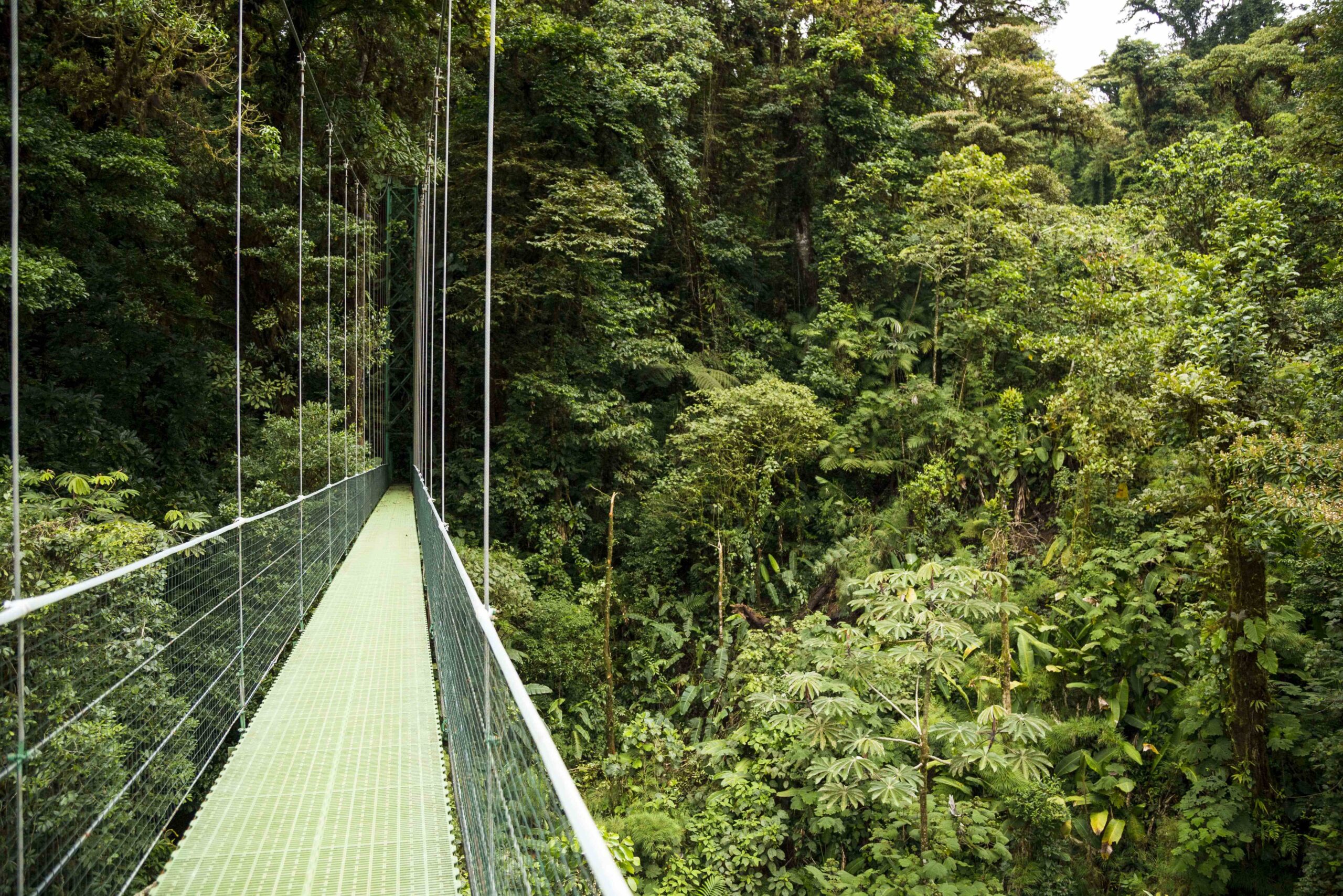 Tour de puentes colgantes