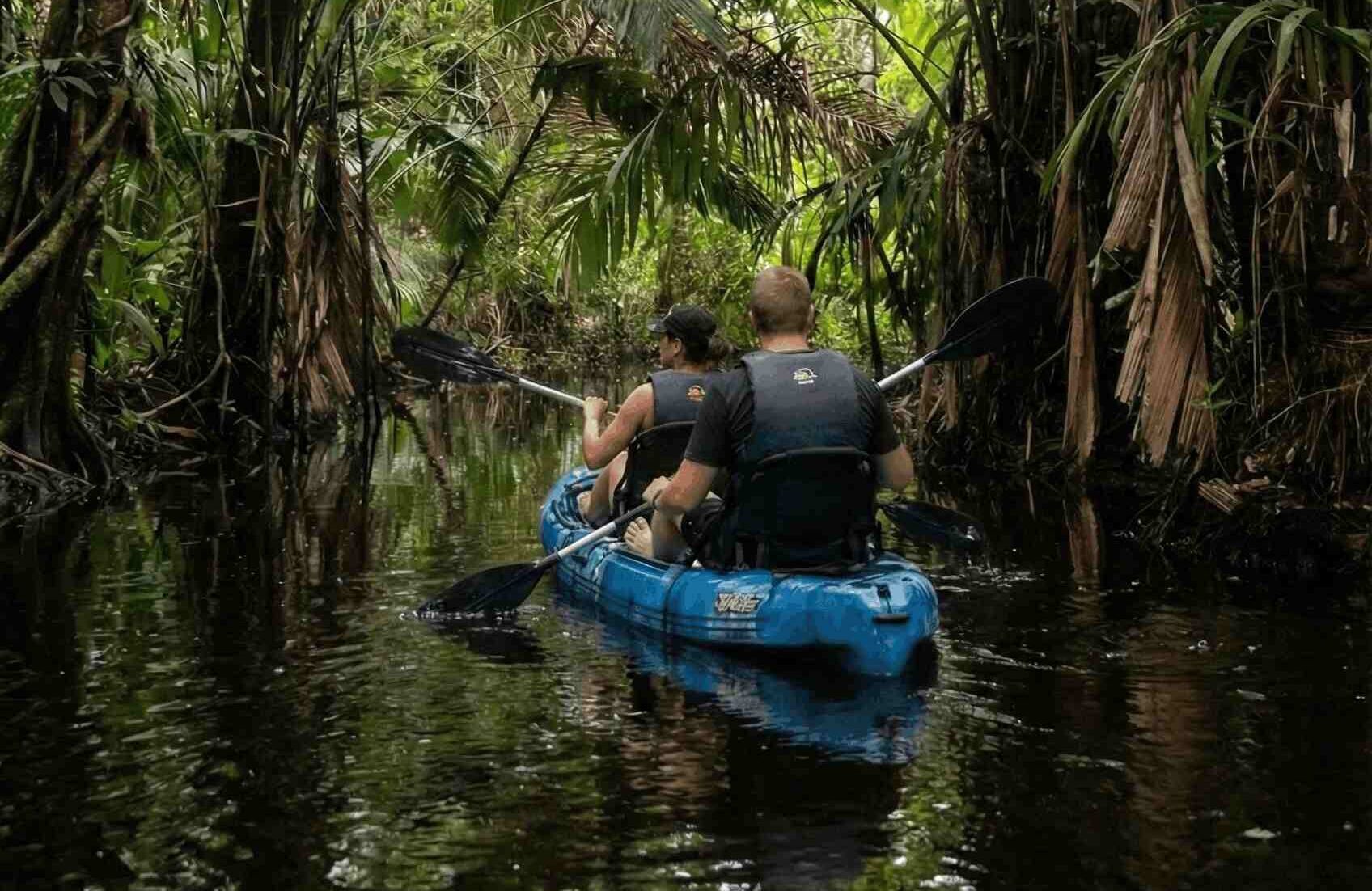 Kayak Canoa Tortuguero