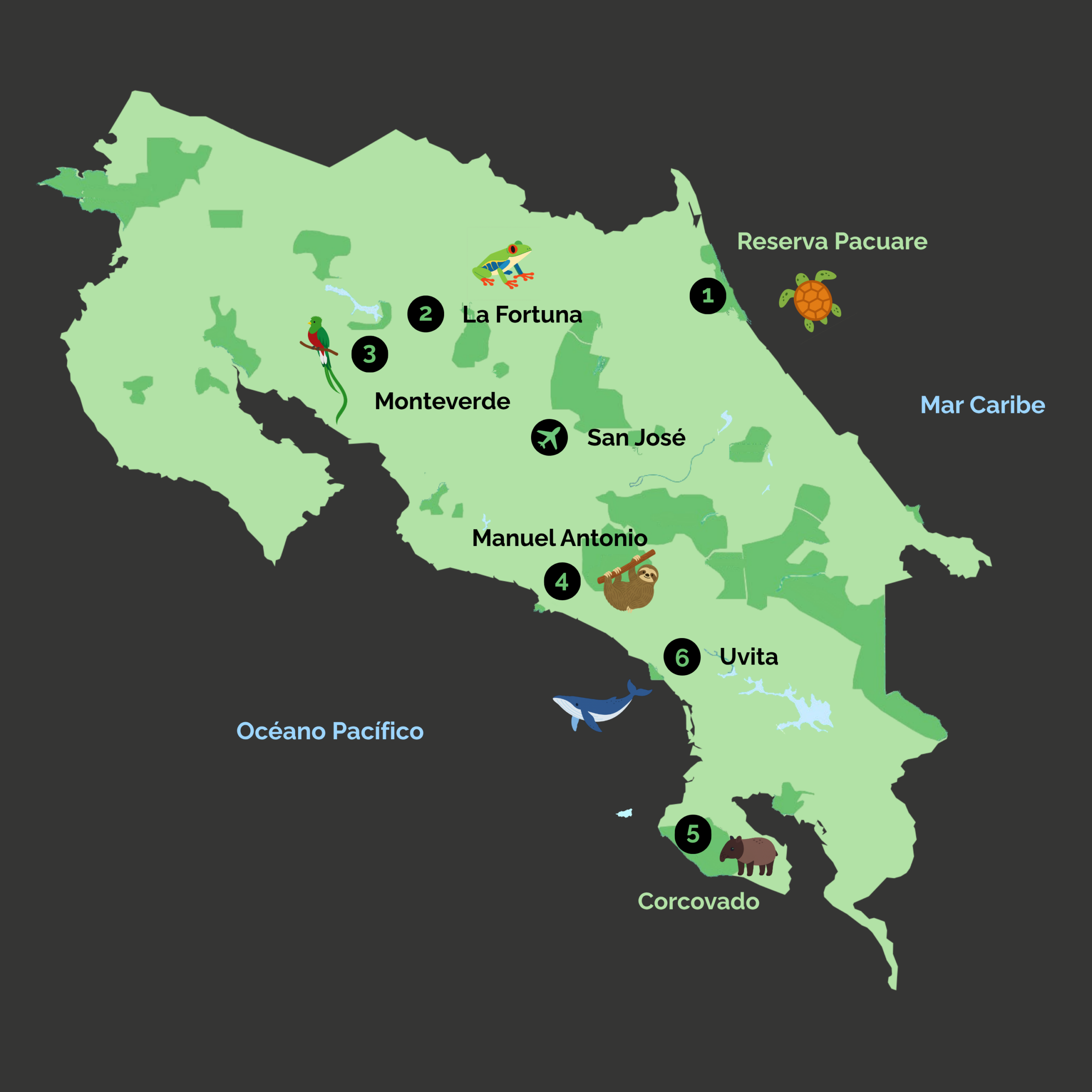 mapa_esencia_jungla