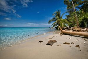 Playa Caribe Sur Costa Rica